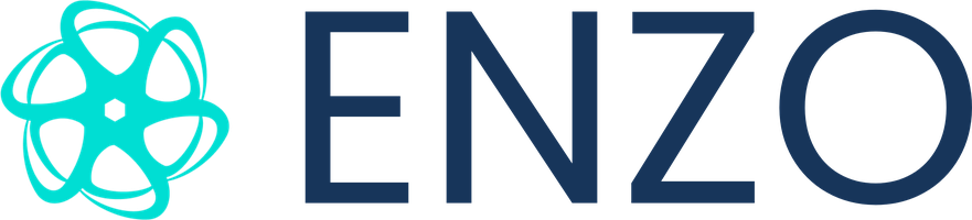 Enzo logo